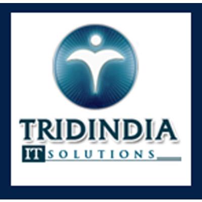 TridIndia IT Solutions Logo