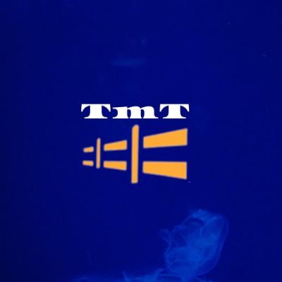 TMT Storage Solutions Logo