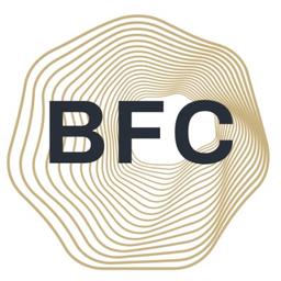 Blockforce Capital Logo