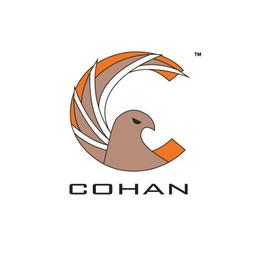 Cohan Consultants Logo