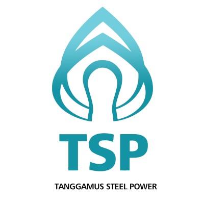 TANGGAMUS STEEL POWER Logo