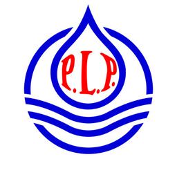 PLP SYSTEMS Logo