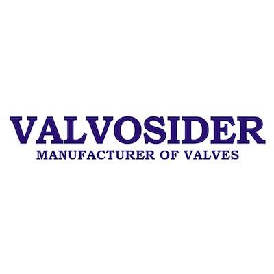 Valvosider srl Logo