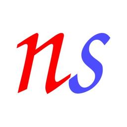NoogaSystems.com Logo