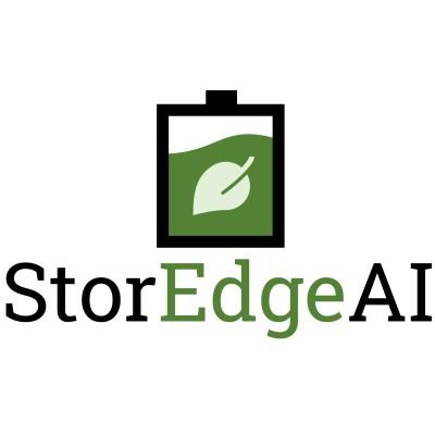 StorEdgeAI Logo