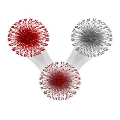 Network Immunology Logo