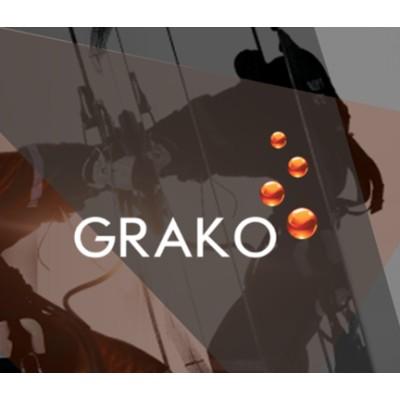 Grako LLC (High-level Access Specialist)'s Logo