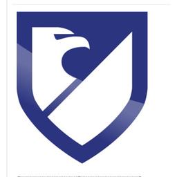 CFS Security Consultants Logo