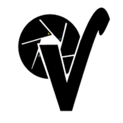 Vidsetworks's Logo