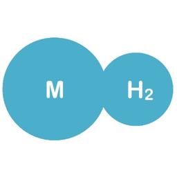 Micro Hydrogen Inc Logo