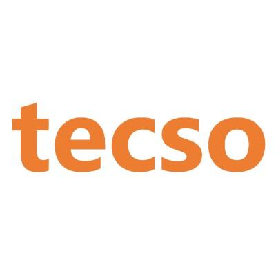 Tecso Solutions Logo