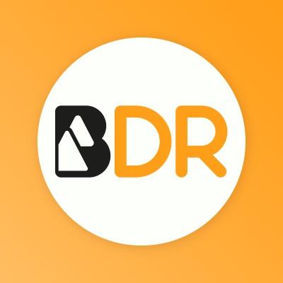 BDR- Blackhills Diagnostic Resources's Logo