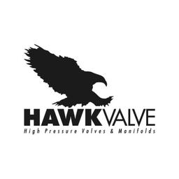 HAWK VALVE Logo