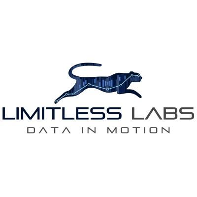 Limitless Labs Egypt's Logo