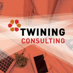 Twining Consulting Inc. Logo
