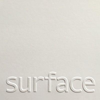 Surface LLC's Logo