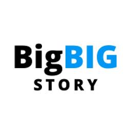 Big Big Story Logo