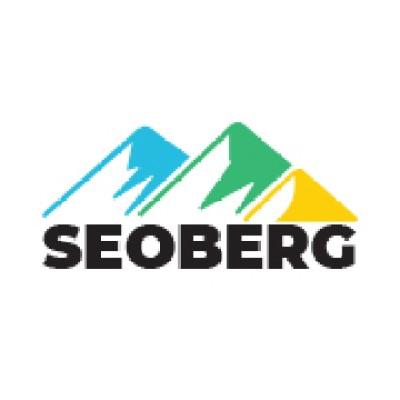 SeoBerg Logo