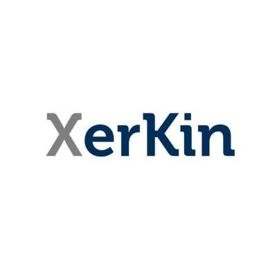 XerKin - Design your Imagination Logo