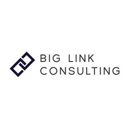 Big Link Consulting Logo