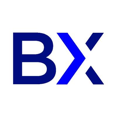 BullMetrix Logo