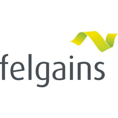 Felgains Ltd Logo