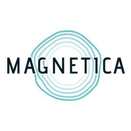 Magnetica Limited Logo