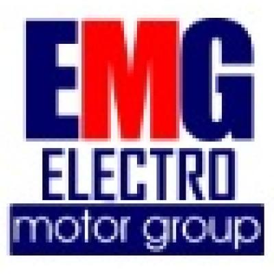 Electro Motor Group's Logo