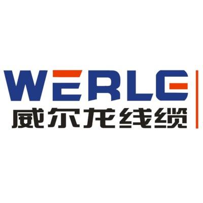 Zhejiang Wrlong High Temperature Wire & Cable Co. Ltd's Logo