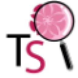 Testing Software Logo