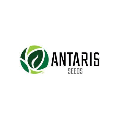 Antaris Seeds Logo