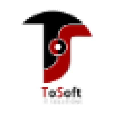 ToSoft™ IT SOLUTIONS Logo