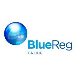 BlueReg Group Logo