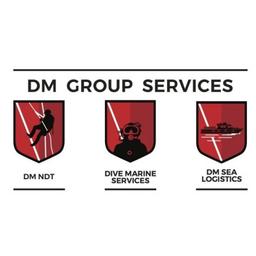 DM Group Services Logo