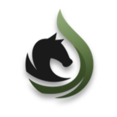 Dark Horse Exploration LLC Logo