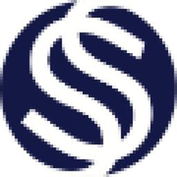 Salman Solutions Logo