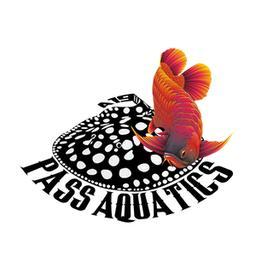 PASS Aquatics's Logo