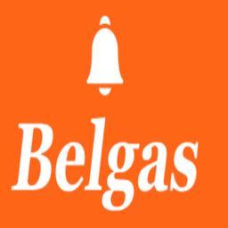 BELGAS LIMITED's Logo
