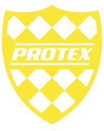 Protex World's Logo