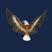 Eagle View's Logo