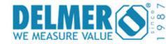 Delmer Group's Logo