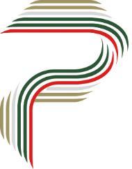 Plianz's Logo