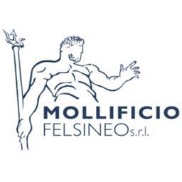Mollificio Felsineo srl's Logo