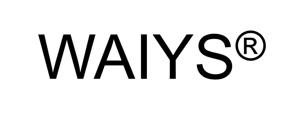 WAIYS GmbH Logo