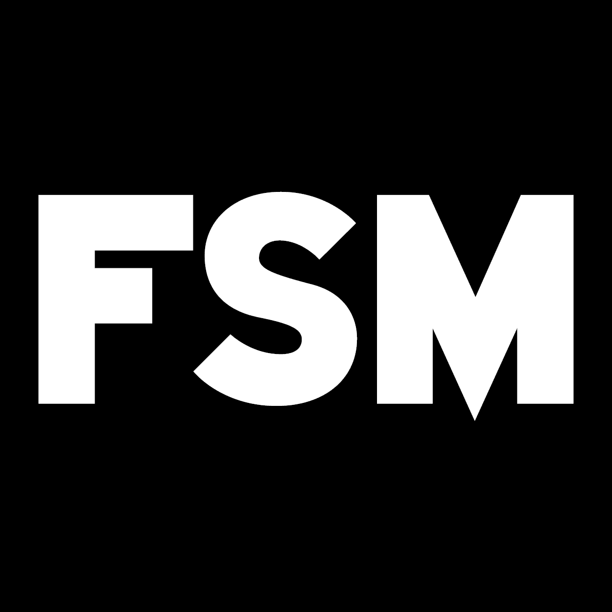 FSM AG Logo