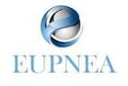 Eupnea Management Consulting Logo