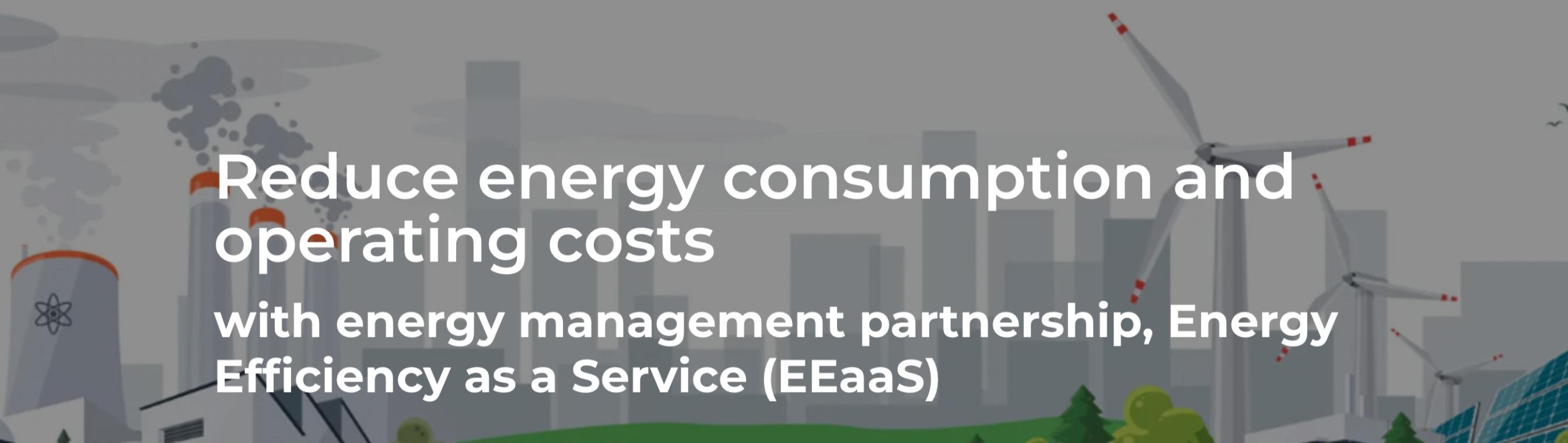 Image for Energy Efficiency as a Service (EEaaS)