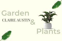 Product: Clair Austin Hardy Plants
