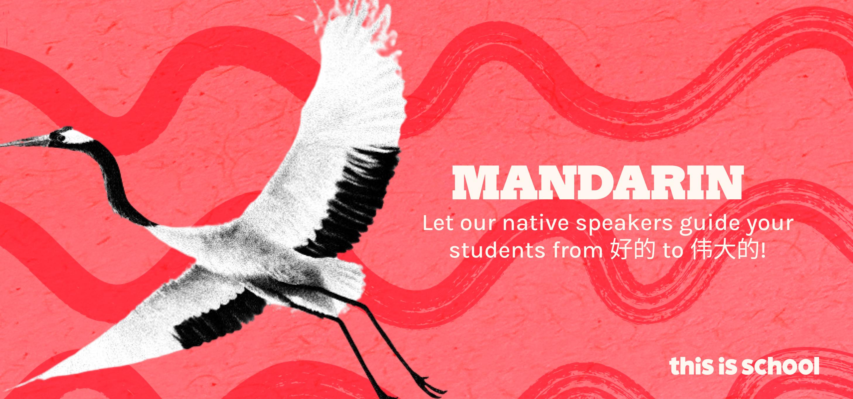 Product Mandarin | This is School | Digital Teaching Resources image