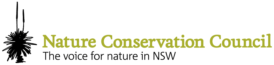 Product Conservation leaders urge Premier to protect Kosciuszko Nation Park from commercial over-development - NCC - Nature Conservation Council of NSW image